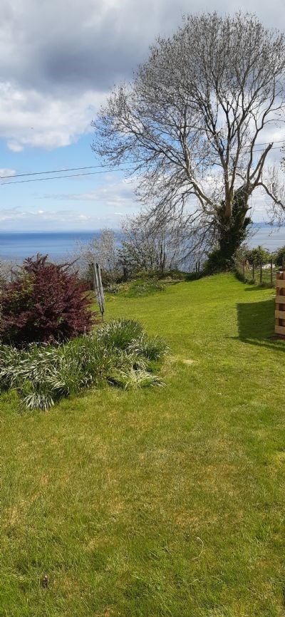 Garden in Spring again